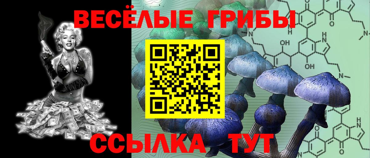 Клин  Псилоцибиновые грибы мухоморы  где купить наркоту  Вход с VPN 
