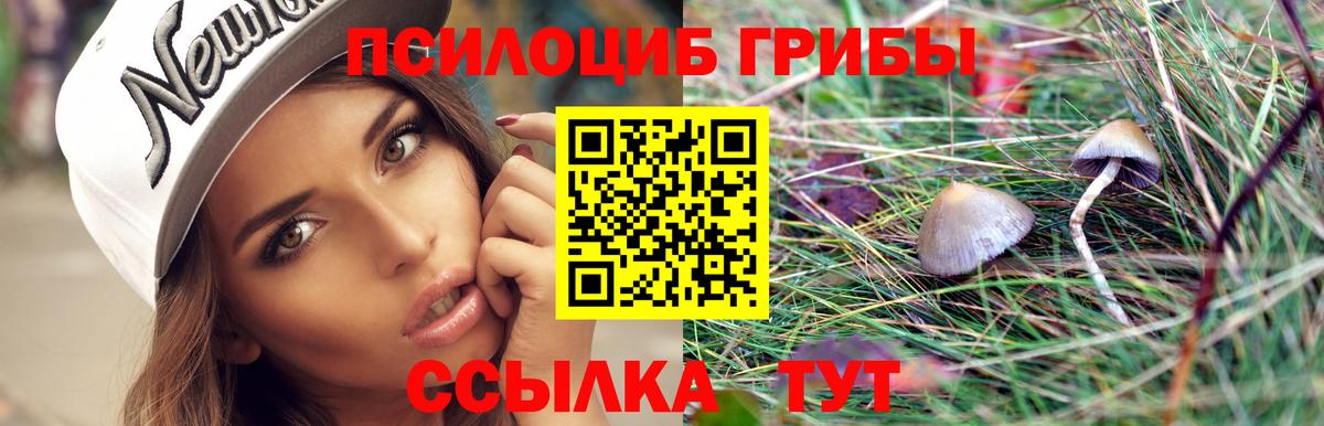 Псилоцибиновые грибы Cubensis Клин